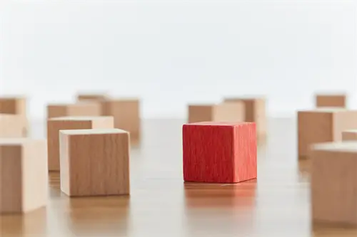 在野外生活怎么生活的